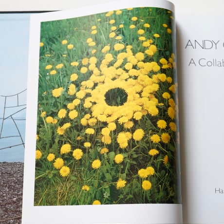 ANDY GOLDSWORTHY  [Used]