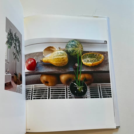 Wolfgang Tillmans / Burg