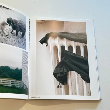 Wolfgang Tillmans / Burg