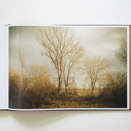 Todd Hido - THE END SENDS ADVANCE WARNING