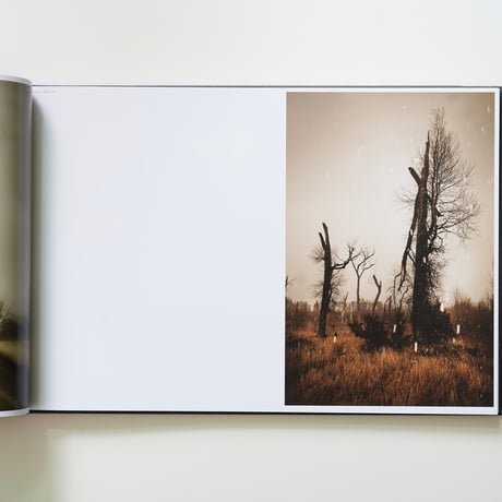 Todd Hido - THE END SENDS ADVANCE WARNING