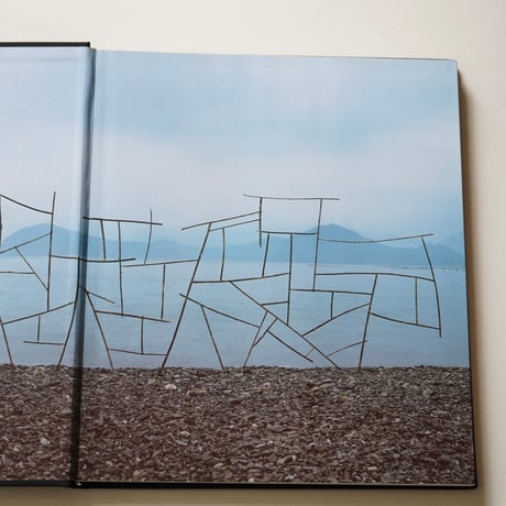 ANDY GOLDSWORTHY  [Used]