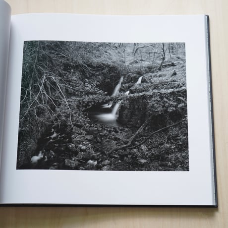 Andrew Nadolski | The White Wood