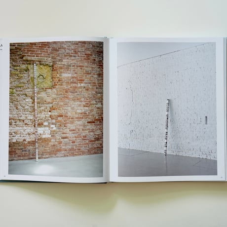 Roni Horn - WATER WATER ON THE WALL, YOU’RE THE FAIREST OF THEM ALL by Roni Horn