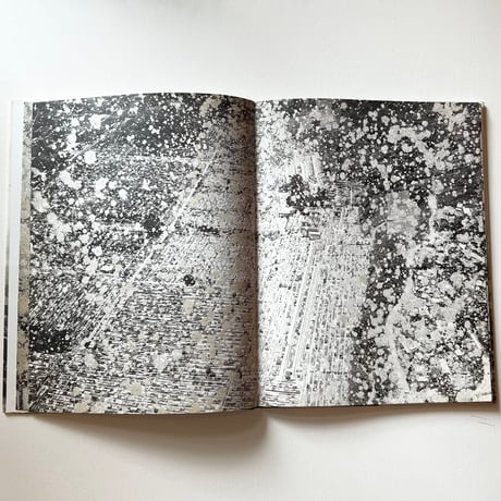 Anselm Kiefer