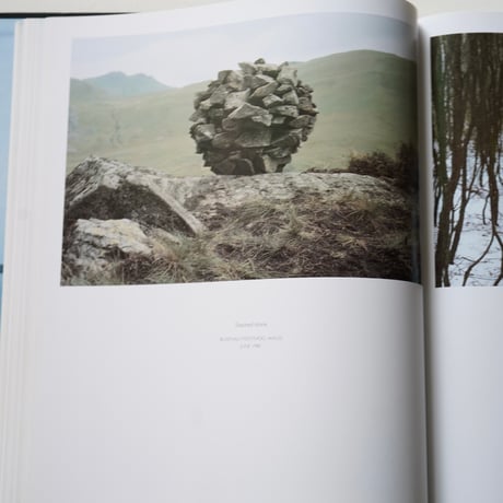ANDY GOLDSWORTHY  [Used]