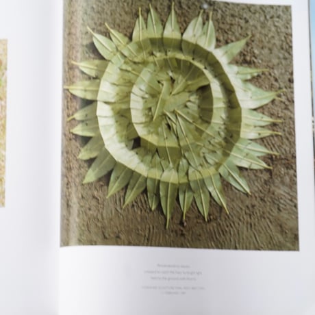 ANDY GOLDSWORTHY  [Used]