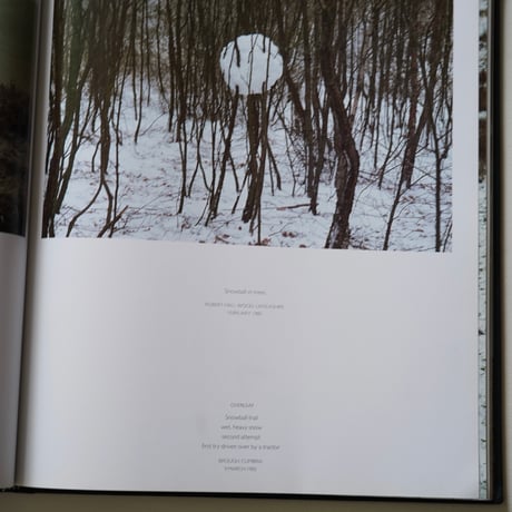 ANDY GOLDSWORTHY  [Used]