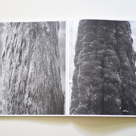 Bas Ketelaars / Edges of Landscape