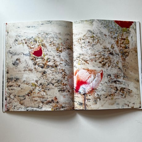 Anselm Kiefer