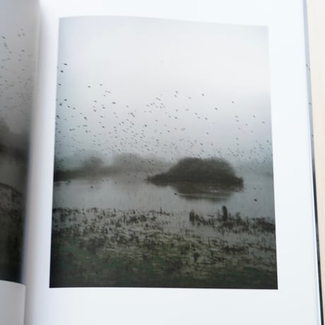 Jem Southam | Starlings
