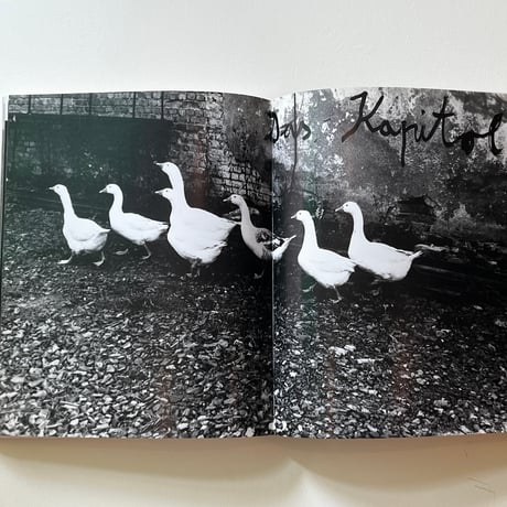 Anselm Kiefer (古書)