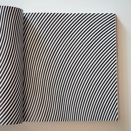 Bridget Riley｜Bridget Riley　ブリジット・ライリー