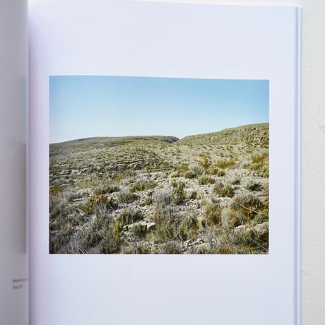 Stephen Shore｜The Mental Image スティーブン・ショア