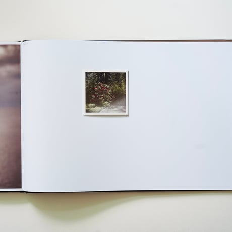 Todd Hido - THE END SENDS ADVANCE WARNING