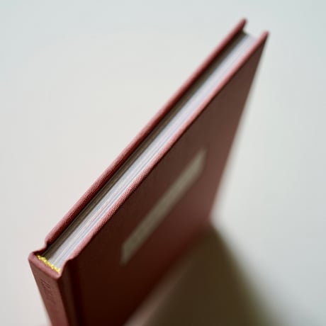 Nigel Peake / APPUNTI SU ALCUNI DIPINTI