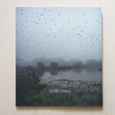 Jem Southam | Starlings