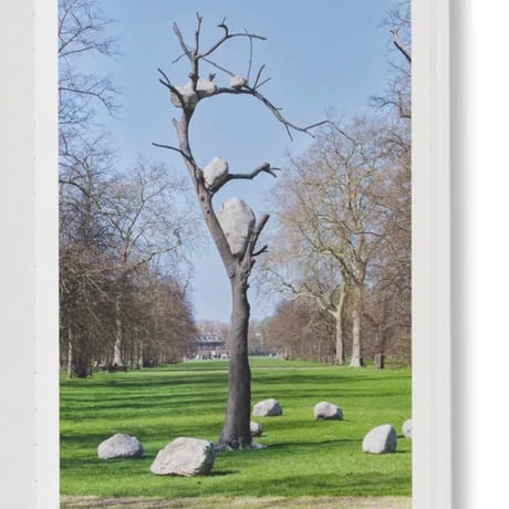 GIUSEPPE PENONE / THOUGHTS IN THE ROOTS