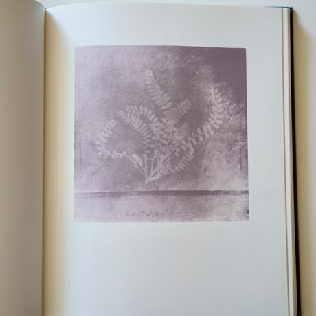 William Henry Fox Talbot (古書)