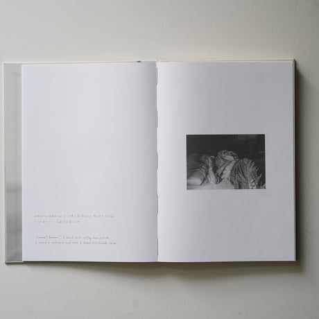 Akihito Yoshida 吉田亮人 - The Dialogue of Two