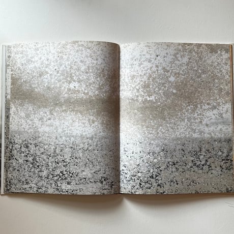 Anselm Kiefer