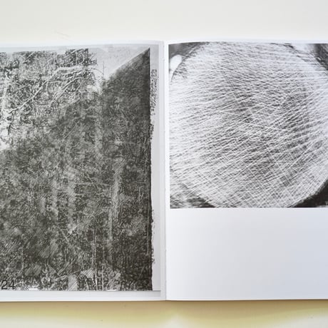 Bas Ketelaars / Edges of Landscape
