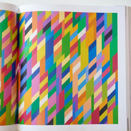 Bridget Riley｜Bridget Riley　ブリジット・ライリー