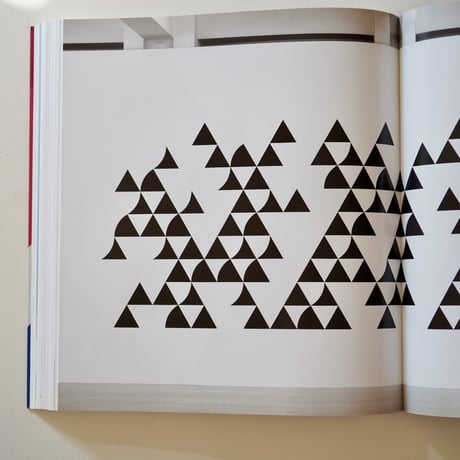 Bridget Riley｜Bridget Riley　ブリジット・ライリー