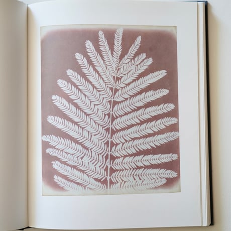 William Henry Fox Talbot (古書)