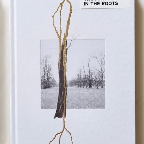 GIUSEPPE PENONE / THOUGHTS IN THE ROOTS