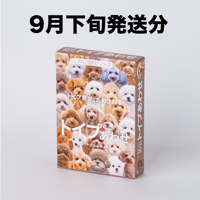 トイプあわせ】おちゃめでおしゃれな不動の人気者！【9月下旬発送分