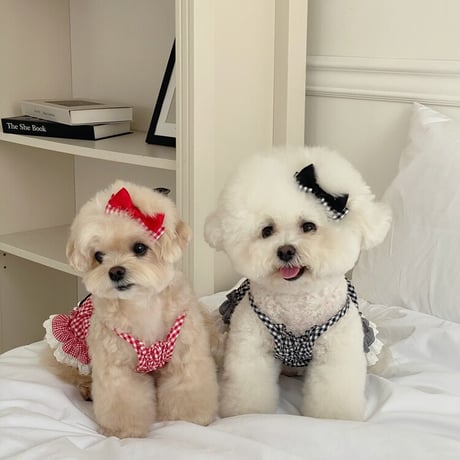 ギンガムダブルリボン Gingham Double Ribbon