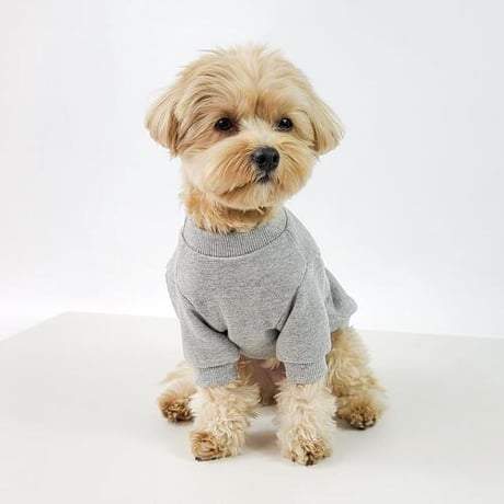 DOGSカリフォルニアベアー　DOGS California Bear
