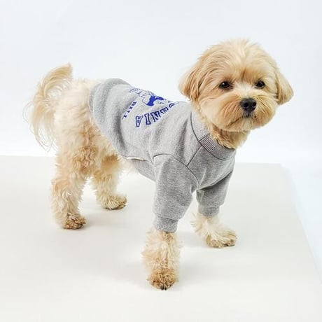 DOGSカリフォルニアベアー　DOGS California Bear