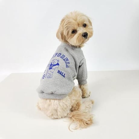DOGSカリフォルニアベアー　DOGS California Bear