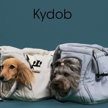 Kydo.bフロントキャリーバック　Kydo.b Front Carrier Bag