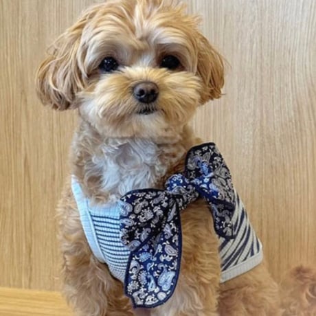 ペイズリーバンダナ  Paisley Bandana