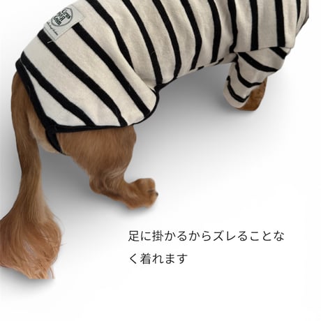 DOGSボーダーロンパース　DOGS Border Rompers
