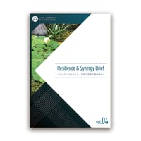 Resilience & Synergy Brief vol.04
