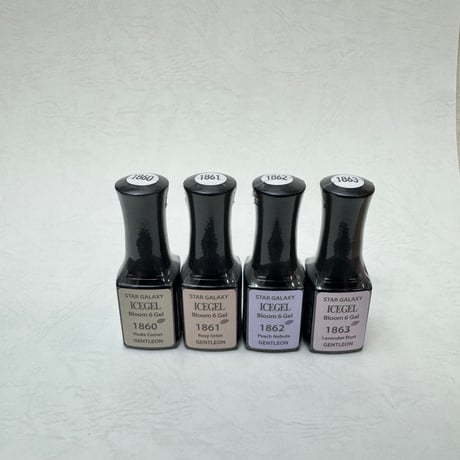 スターギャラクシー Bloom 6 Gel 全4色 ボトル