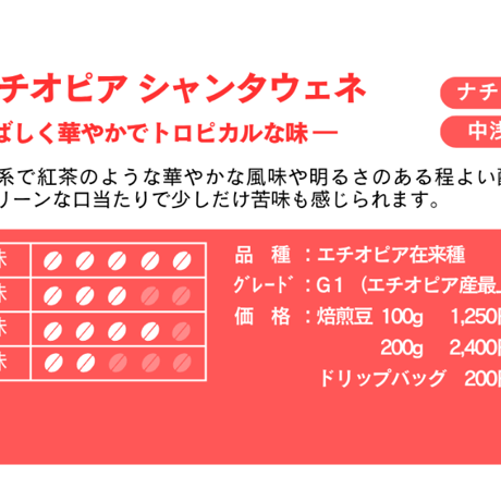 自家焙煎コーヒー豆　フルーティな味わいセット（100g×2種）