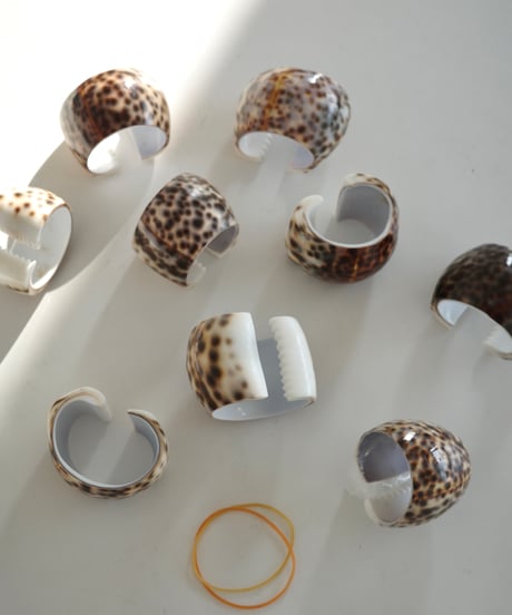 Cowrie Shell