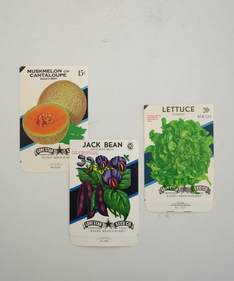 Ephemera Set