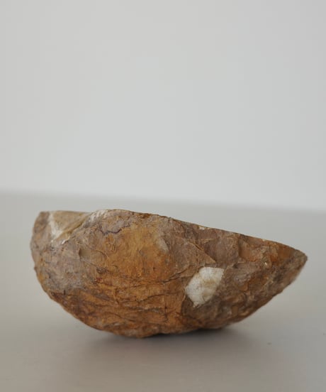 Petrified Wood