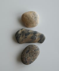 Beleben 077