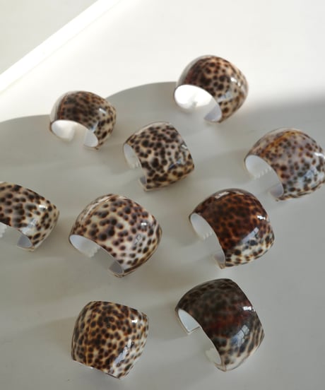 Cowrie Shell