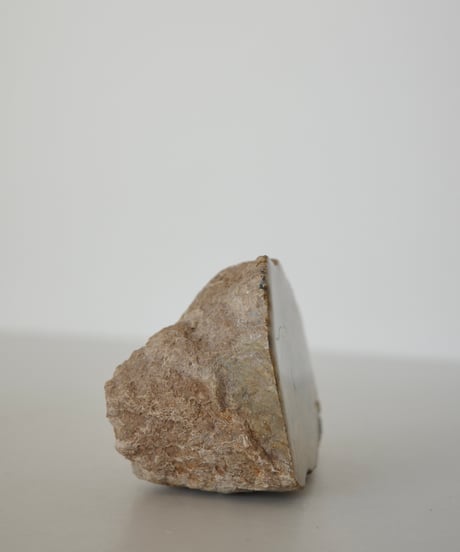 Petrified Wood