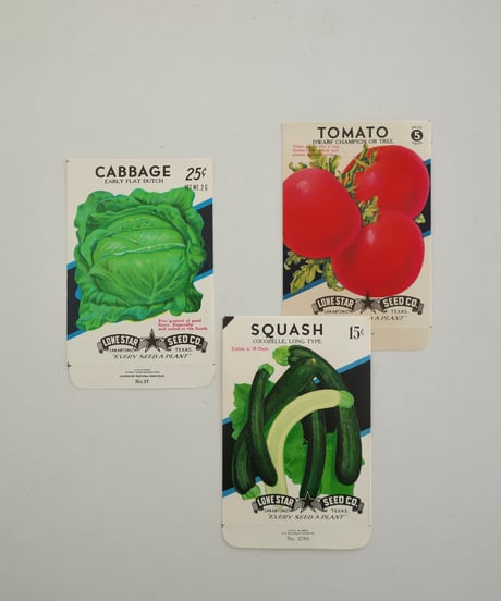 Ephemera Set