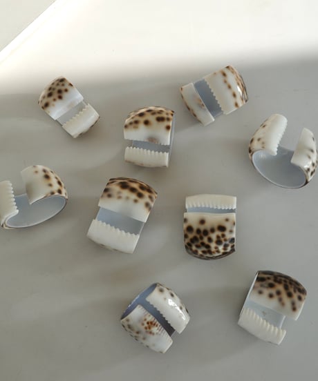 Cowrie Shell