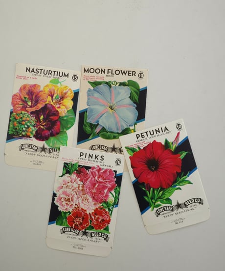 Ephemera Set